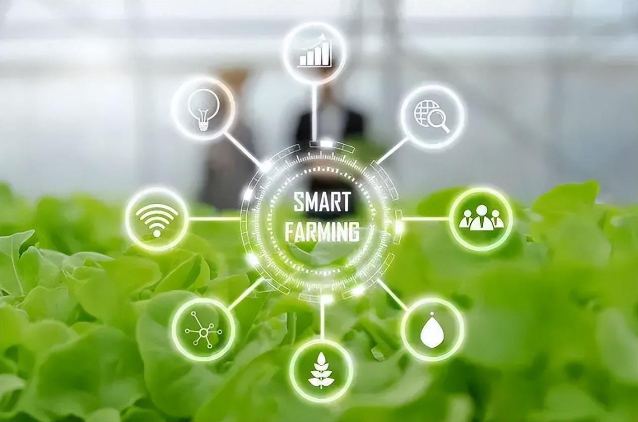 智慧農業物聯網的未來在哪里？