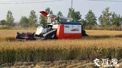 移動物聯(lián)網(wǎng)應(yīng)用①｜手機(jī)上種田，無人化種田！智慧農(nóng)場“智”在哪？